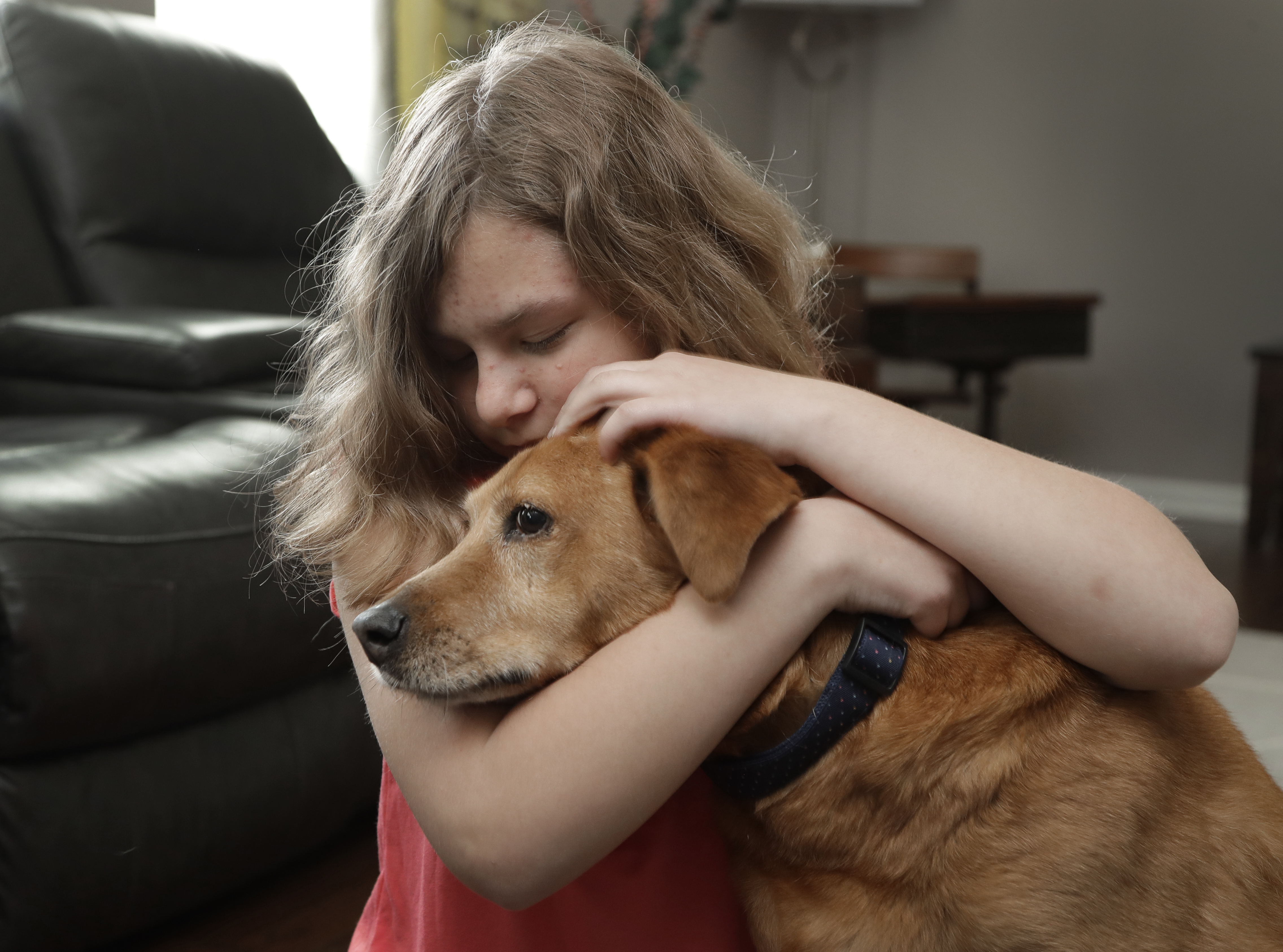 Families defrauded by unregulated service dog trainers