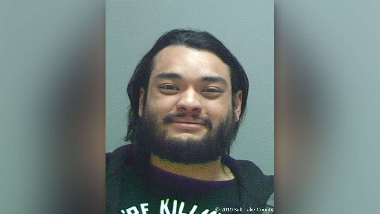 West Valley man charged in ugly domestic violence incident