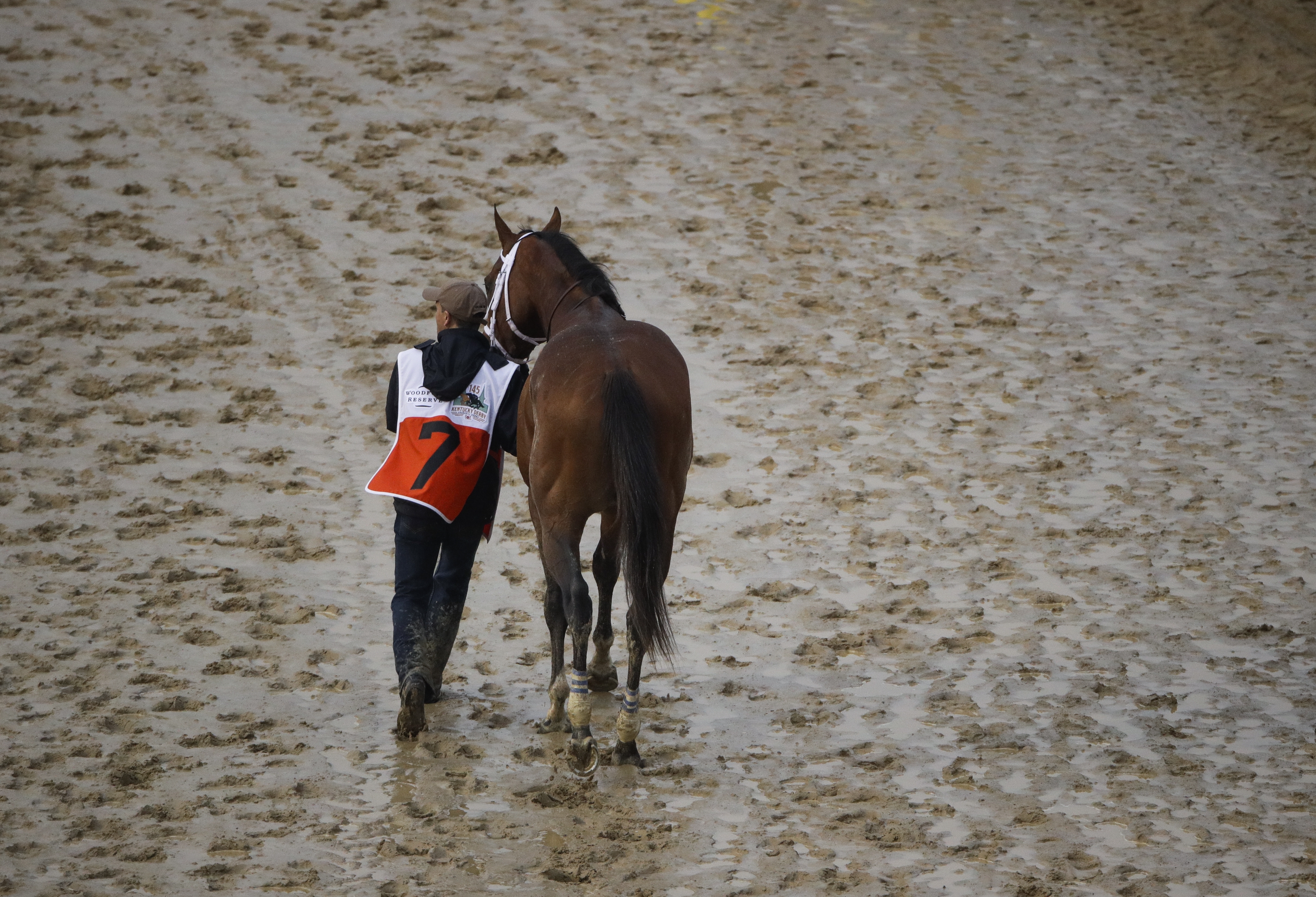 Maximum Security's Preakness status unclear after Derby DQ