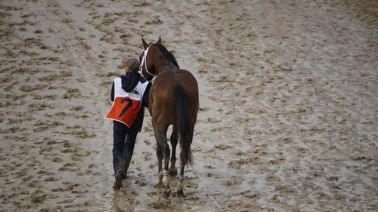 Maximum Security's Preakness status unclear after Derby DQ