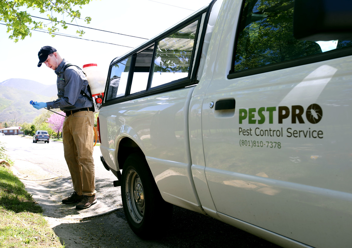 How scared should we be of a smooch from the 'kissing bug'?