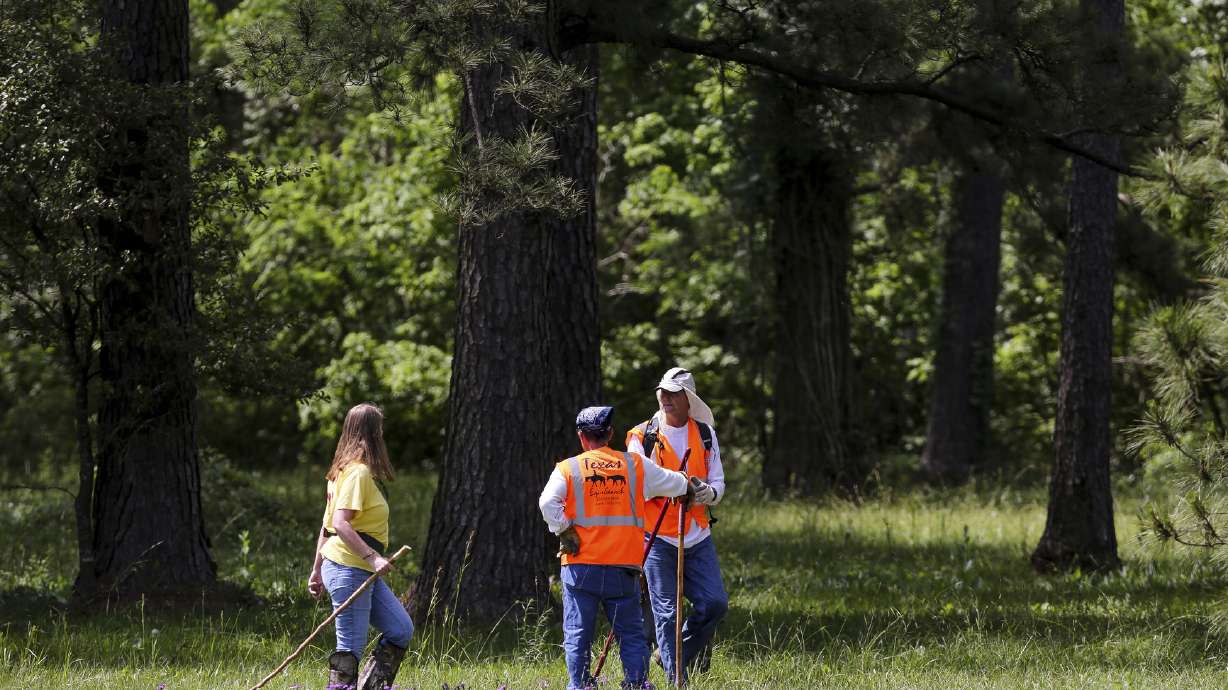 Correction: Houston-Missing Girl story