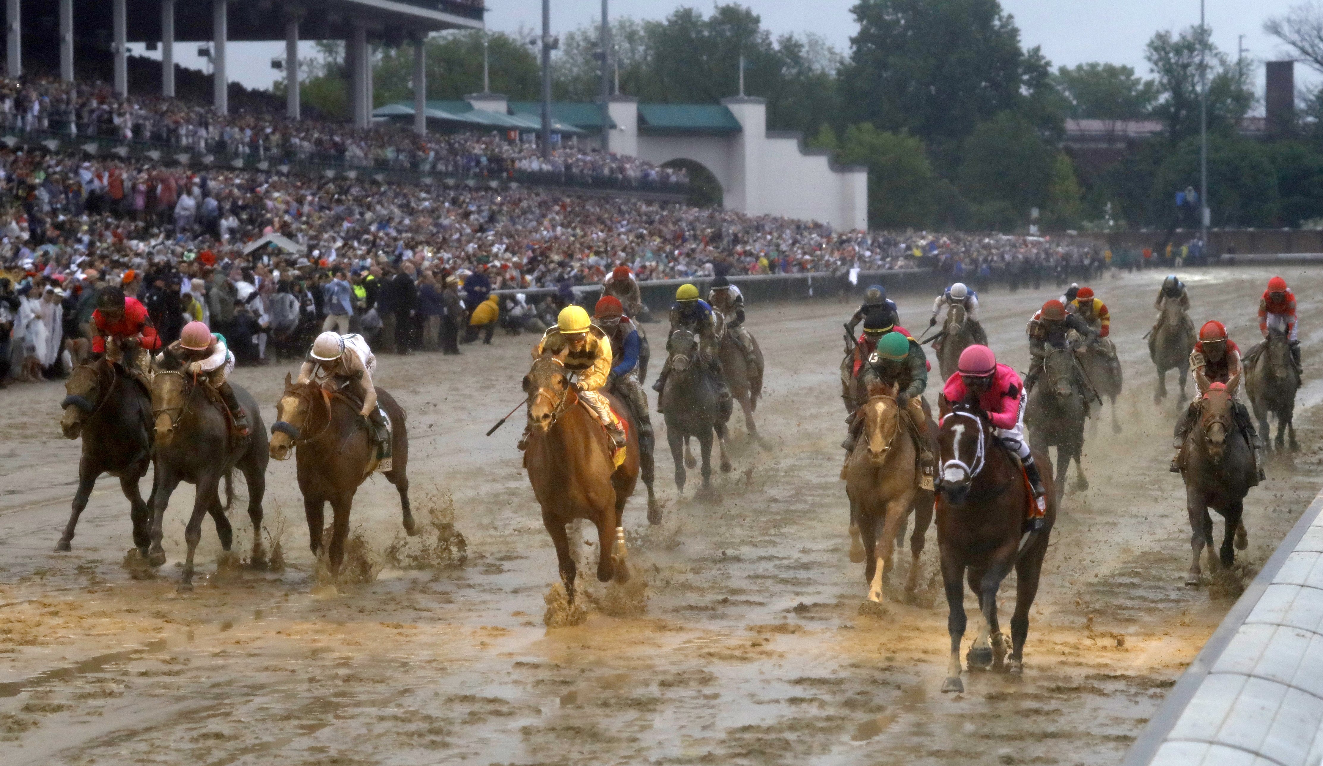 Analysis: Horse racing under microscope again with Derby DQ