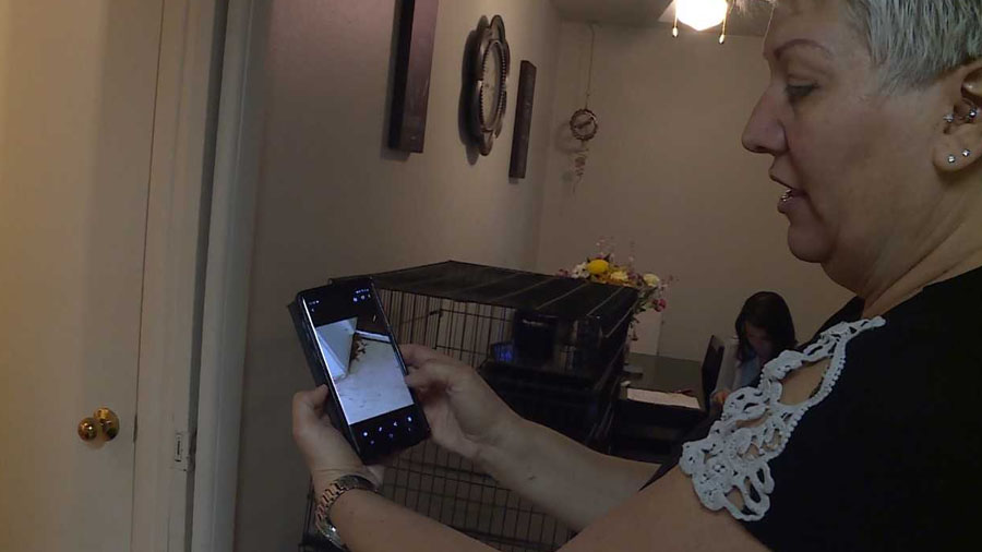 Kelli Wright shares pictures of the damage caused when a sewer line flooded her Murray apartment. (Photo: Meghan Thackrey, KSL TV)