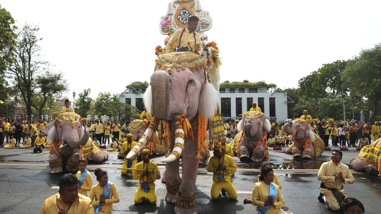 Elephants kneel in ritual tribute to Thailand's new king