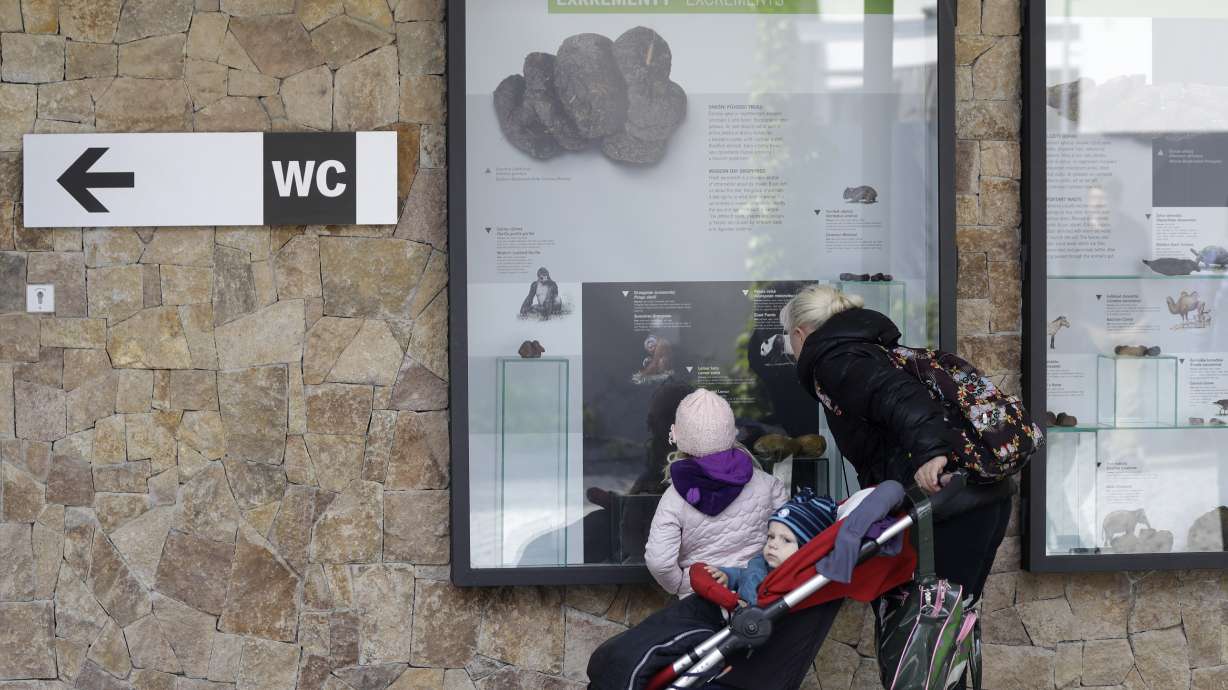 Whose poo is this? Prague Zoo takes a closer look at dung