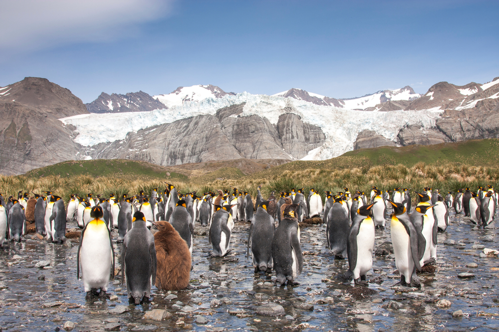 5 sights to see in Antarctica that make the journey unforgettable