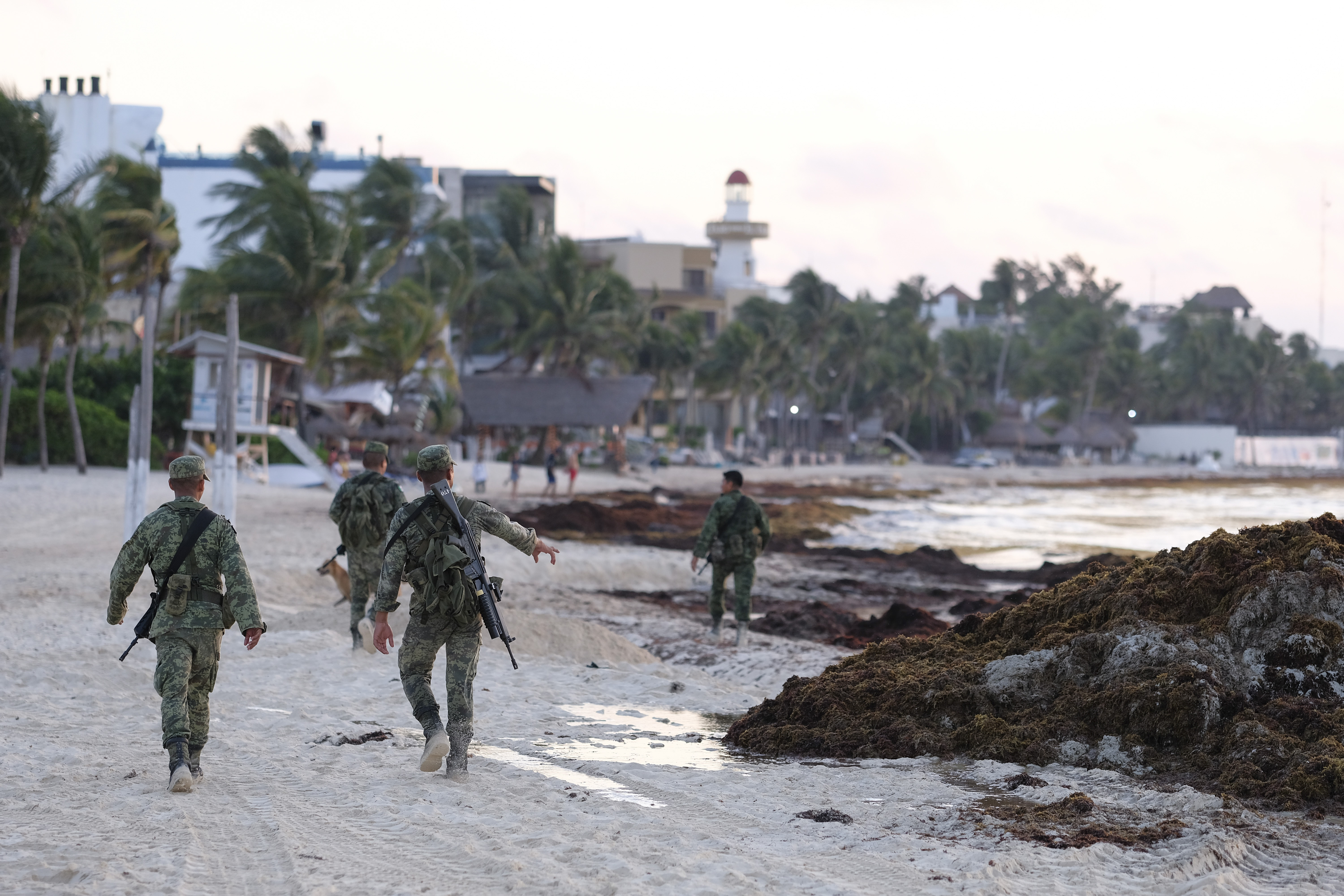 Mexico's prized beaches threatened by smelly algae invasion