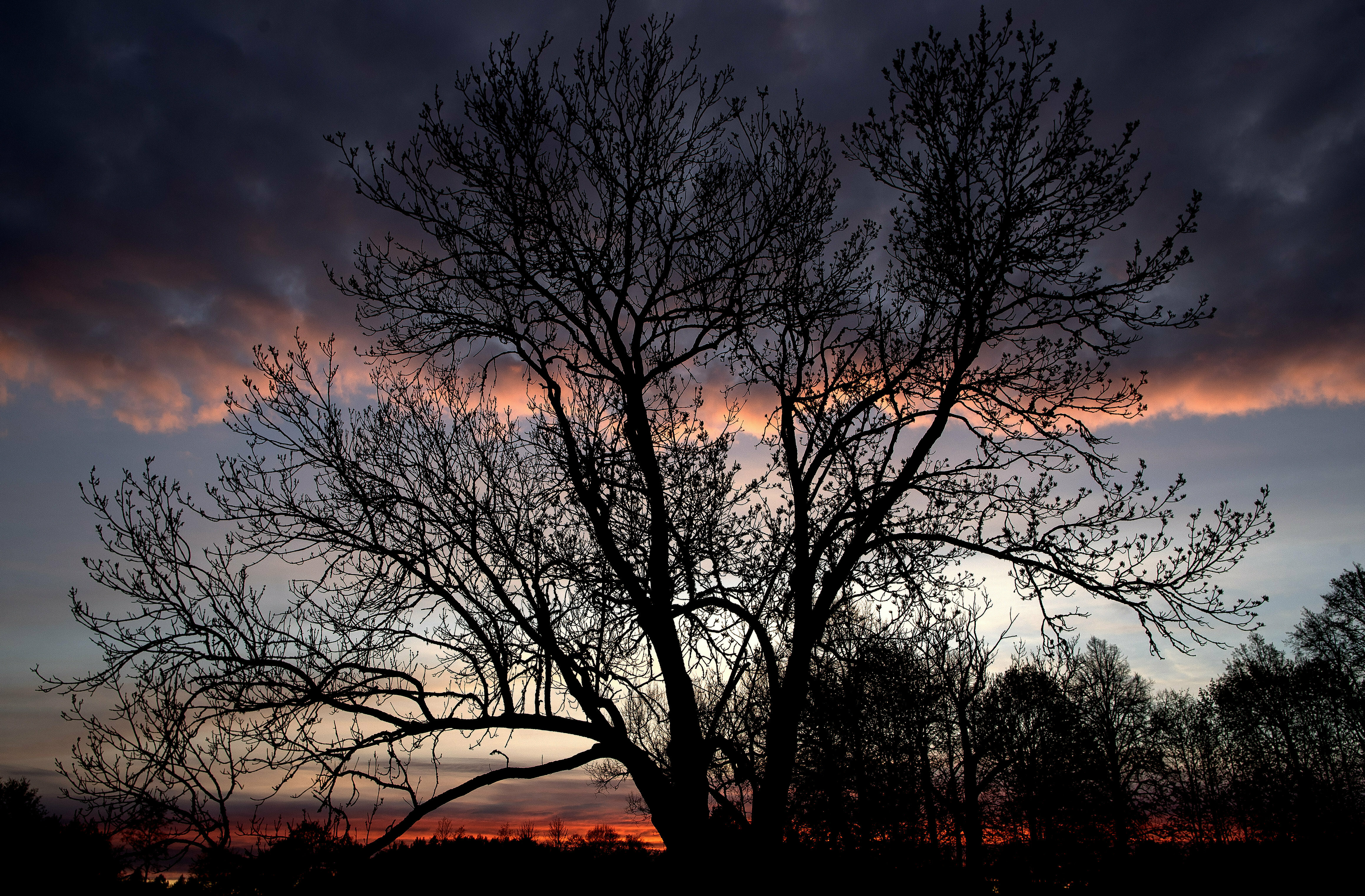 Voters to pick successor of Lithuania's popular 'Iron Lady'
