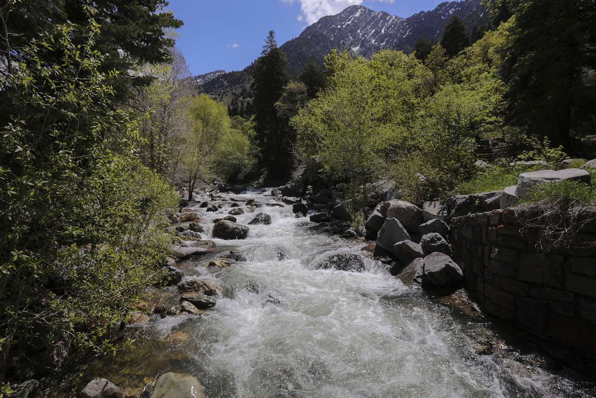 Water flows in Big Cottonwood Creek in Big Cottonwood Canyon on Friday, May 10, 2019. (Photo: Kristin Murphy, KSL)