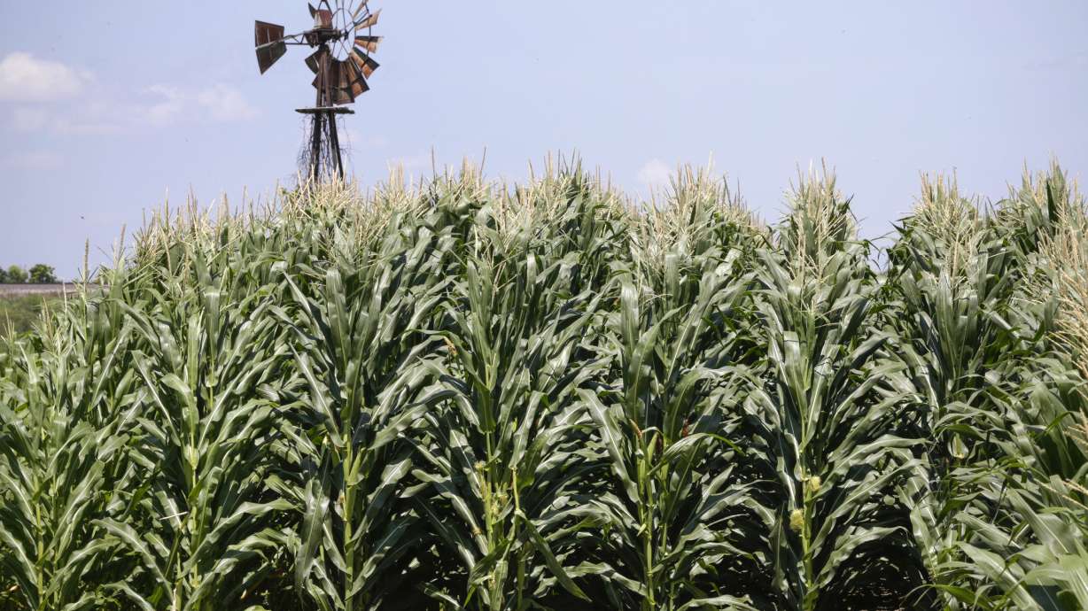 AP FACT CHECK: Trump's fog of misinformation on trade