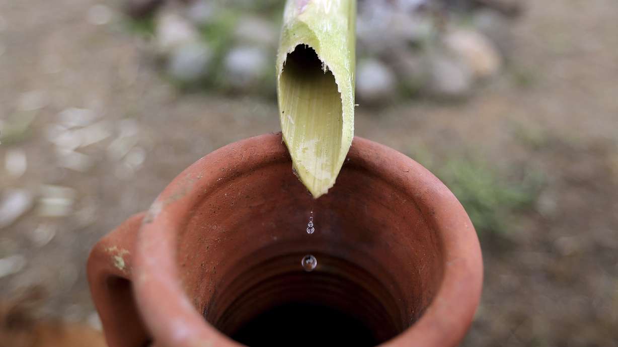 More than a scent: Cyprus promoting its perfume past