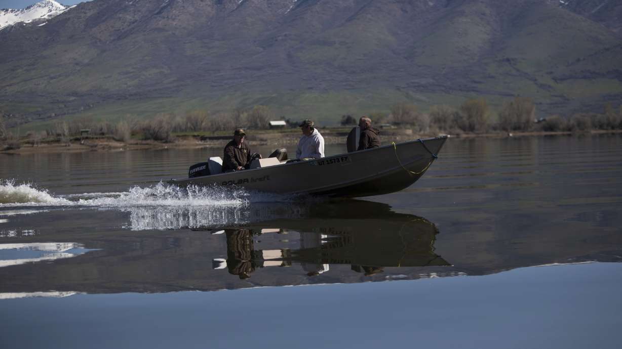Thousands of tiger muskies swim into new reservoir home