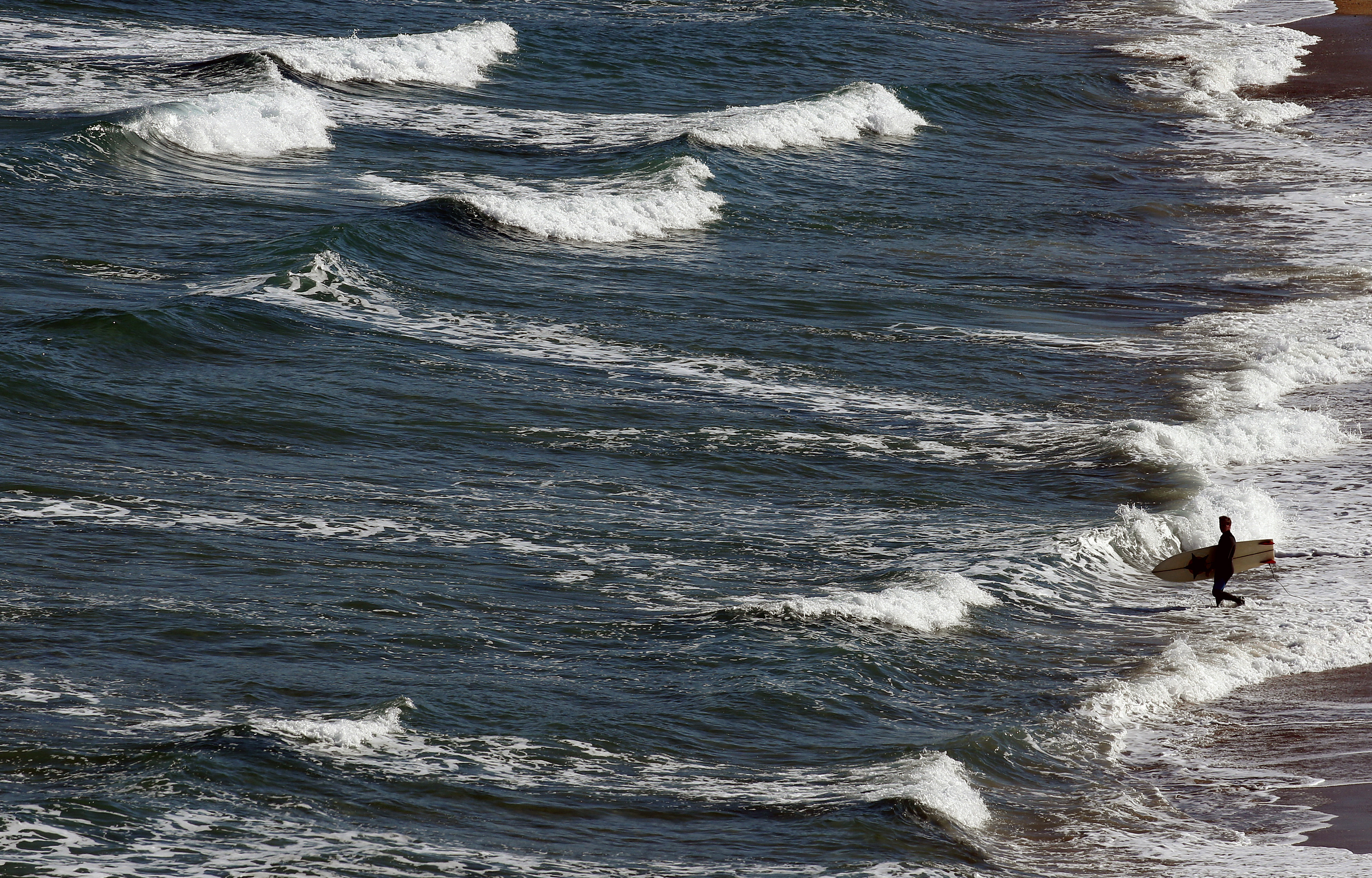 Shares in UK travel agency plunge amid Brexit warning