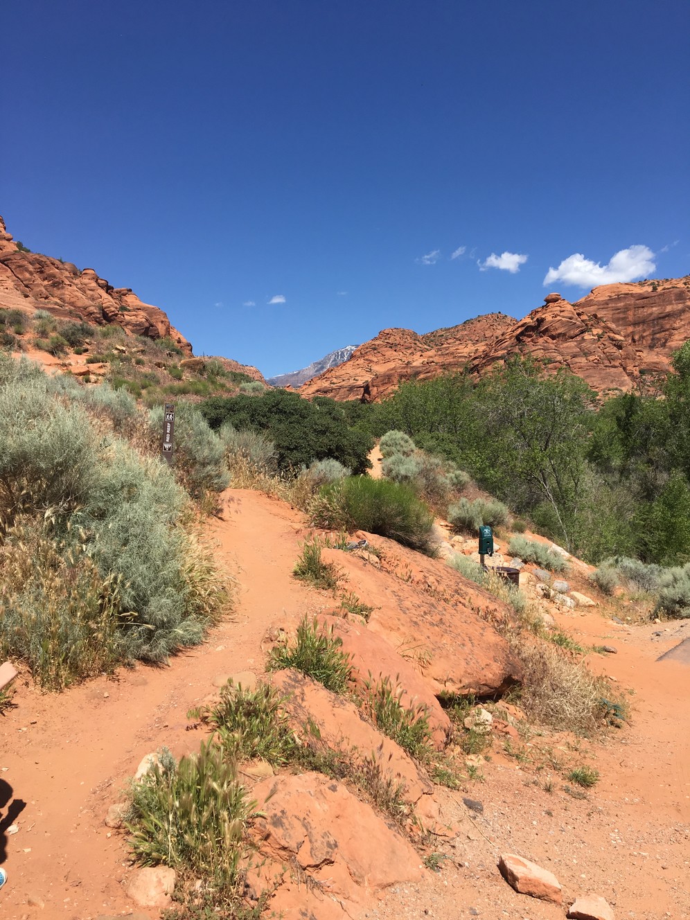 Hike of the week: Red Reef Trail offers a slice of paradise in southern Utah
