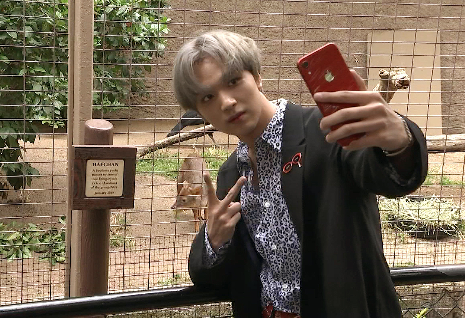 Haechan meets Haechan: K-pop star honored with zoo namesake