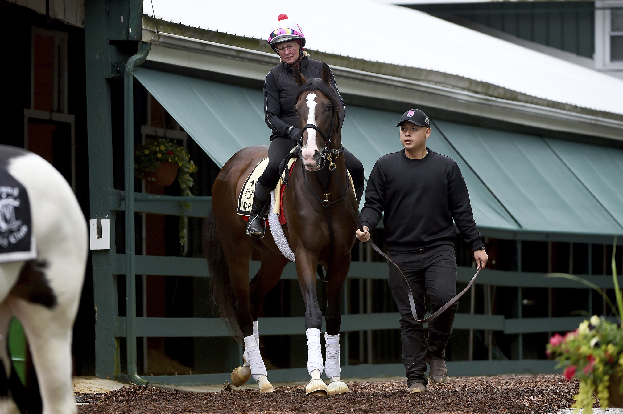 Tough, talented War of Will looks to wow in Preakness