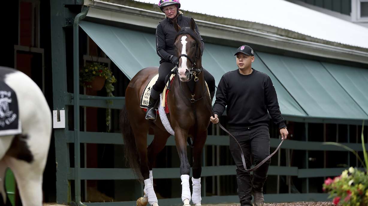 Tough, talented War of Will looks to wow in Preakness