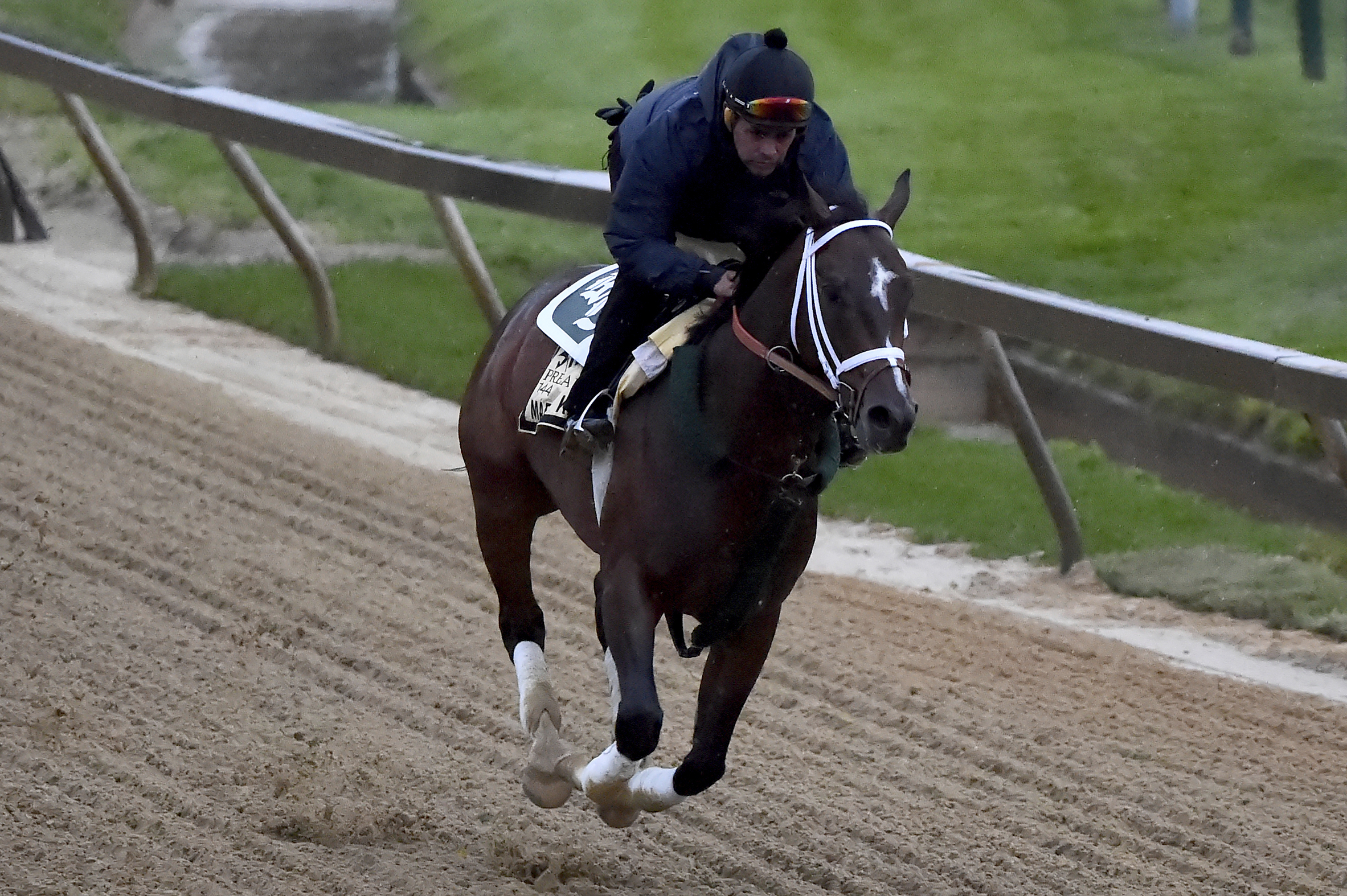 Lukas-trained long shot Market King cleared for Preakness