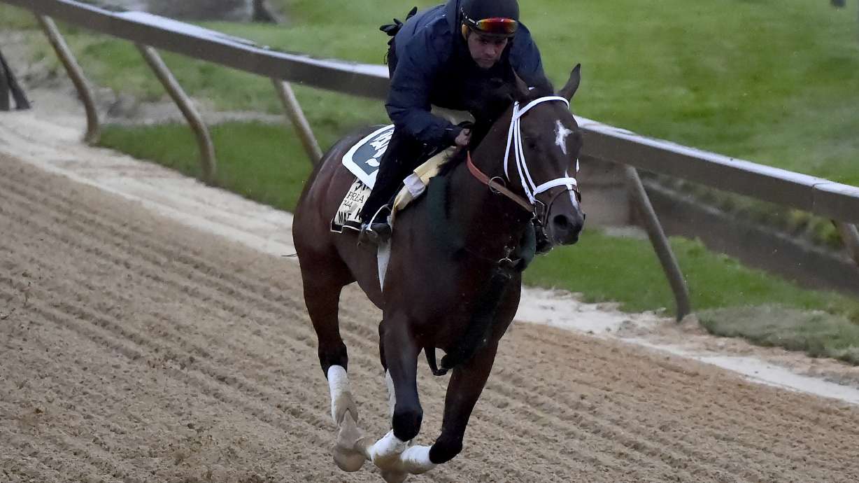 Lukas-trained long shot Market King cleared for Preakness