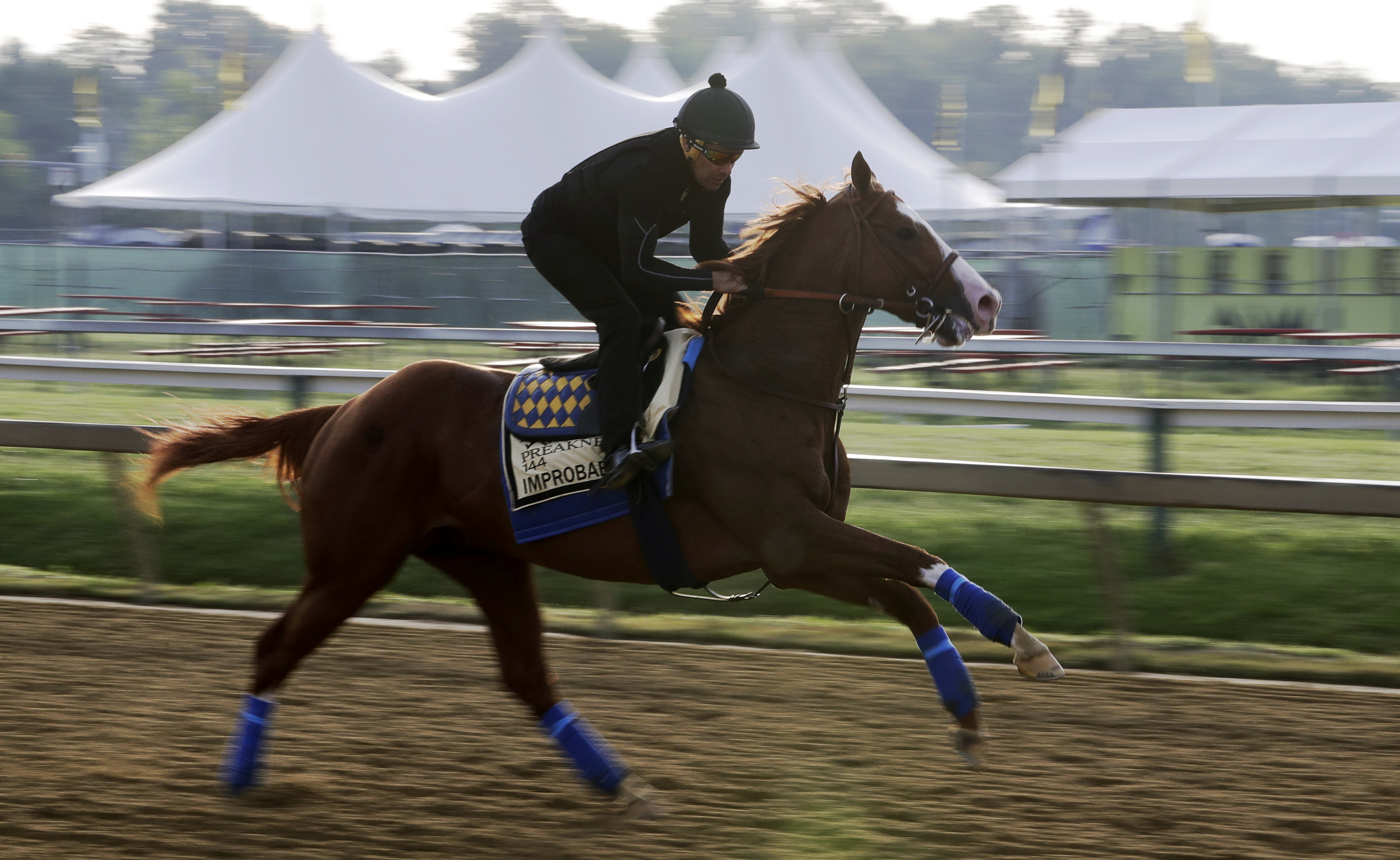 'Vanilla' Preakness still has intrigue without Derby winner