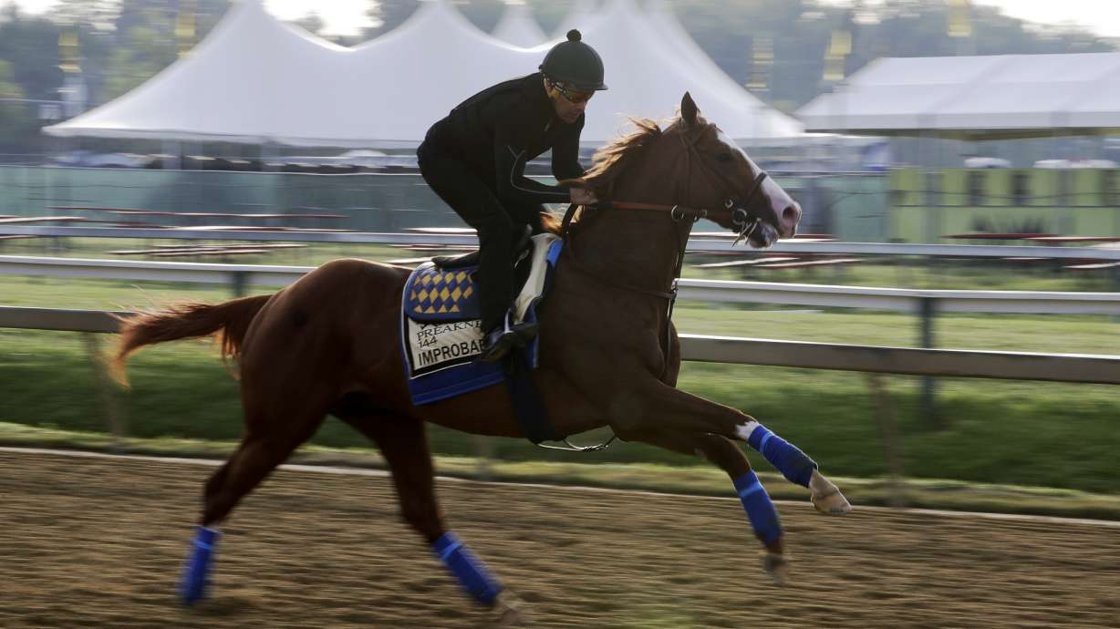 'Vanilla' Preakness still has intrigue without Derby winner