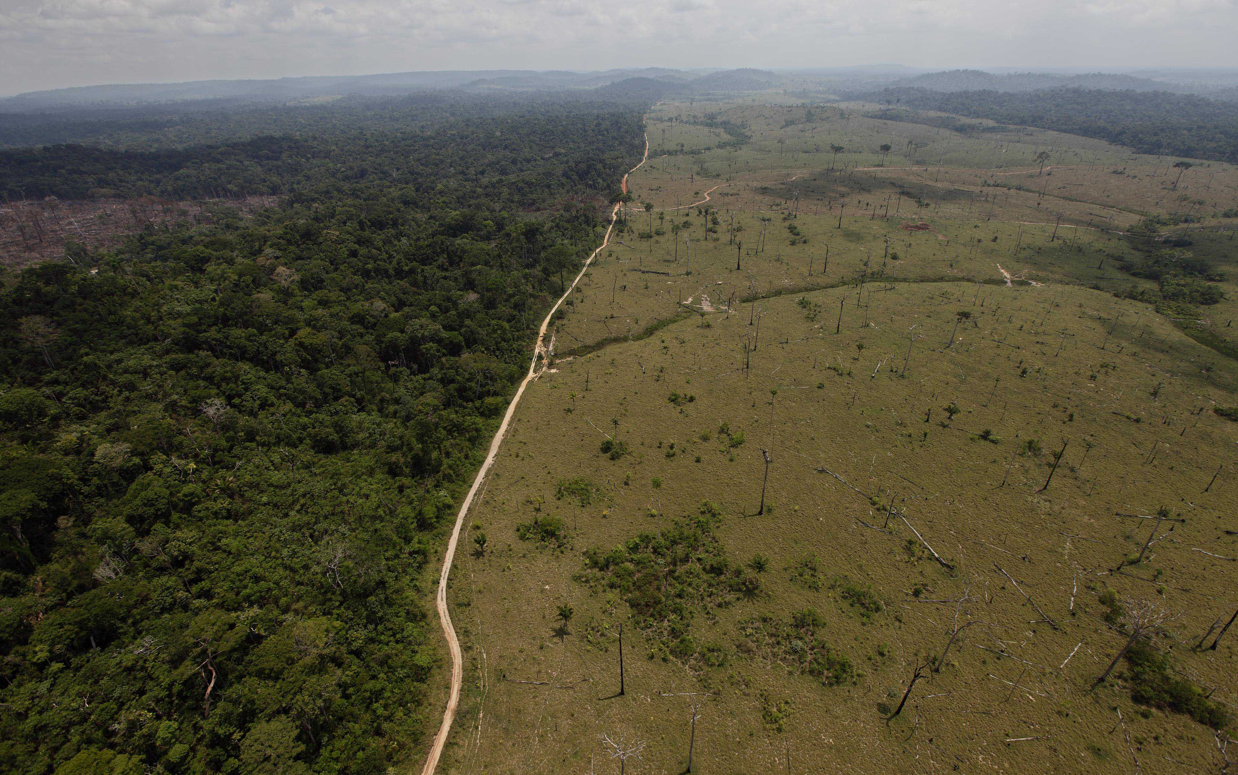 Brazil's environment minister challenges Amazon Fund
