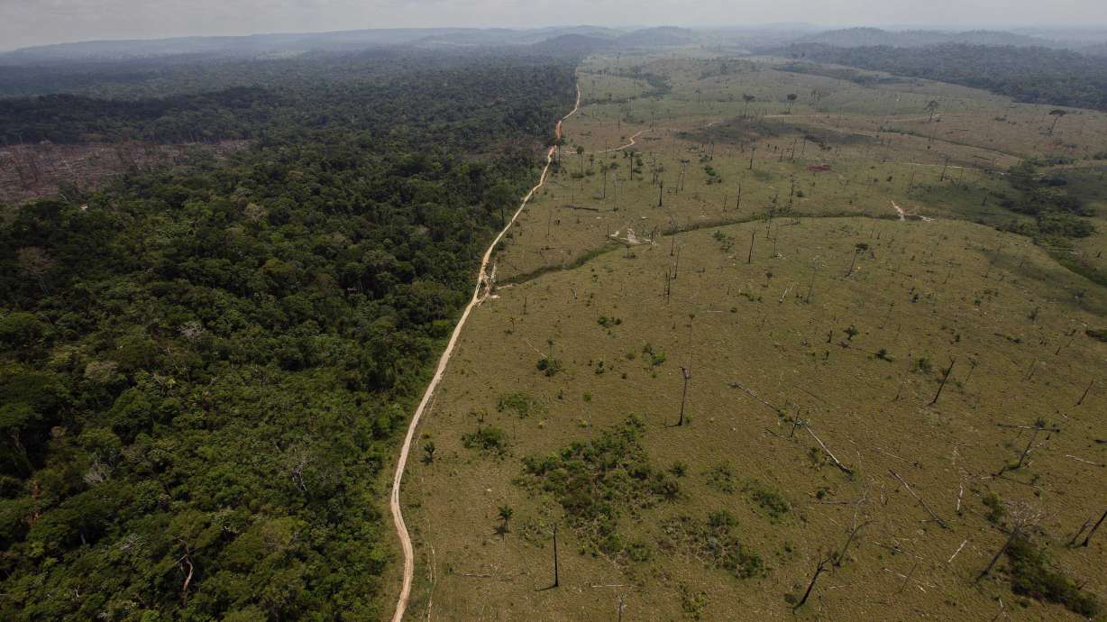 Brazil's environment minister challenges Amazon Fund