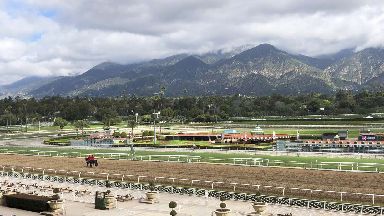 24th horse death occurs at Santa Anita