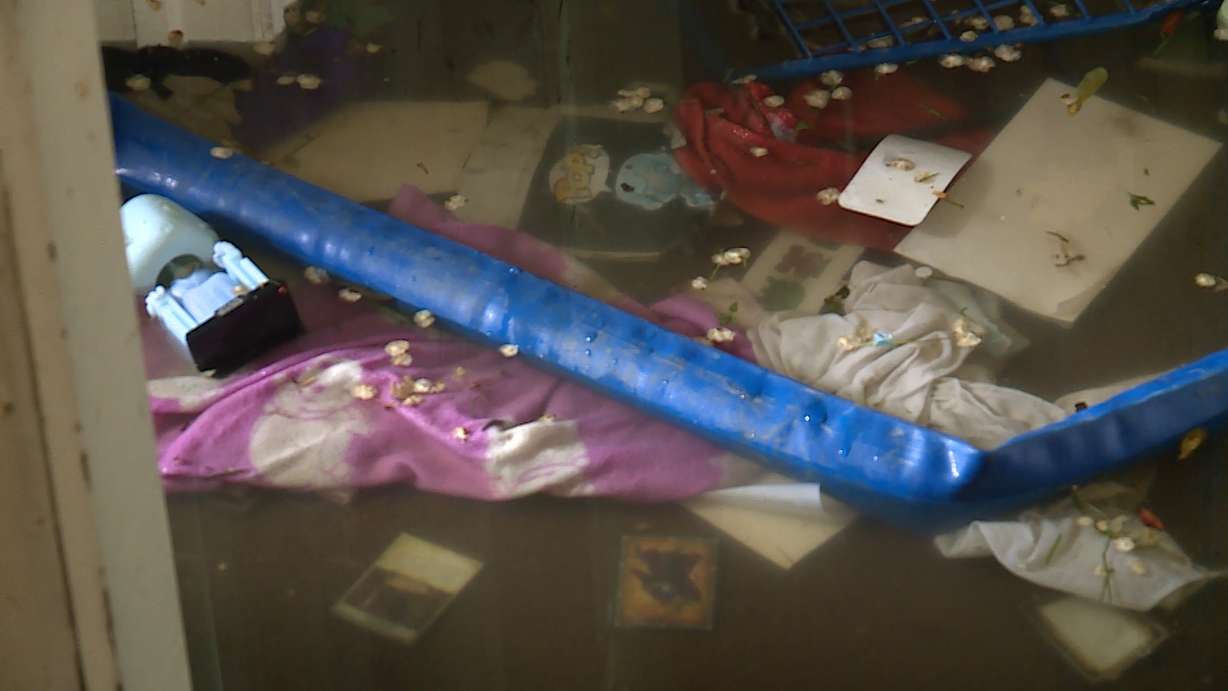 Flood waters flowed into Kevin Steele's basement early Friday morning, May 17, 2019. Several homes in Steele's neighborhood, near 765 N. Center St. in Lehi, were flooded when the banks of Dry Creek overflowed. (Photo: Kevin Steele)