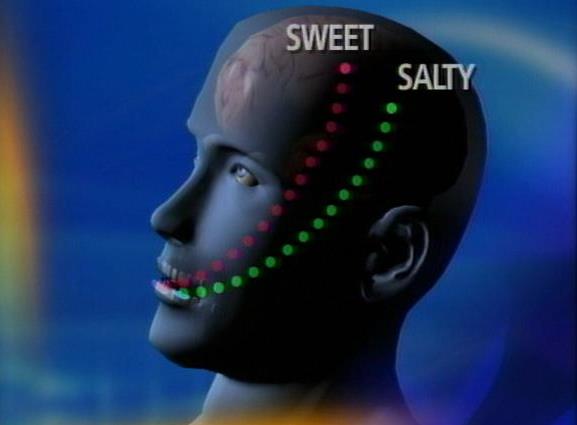 New Research May Lead to New Ways to Control Appetite