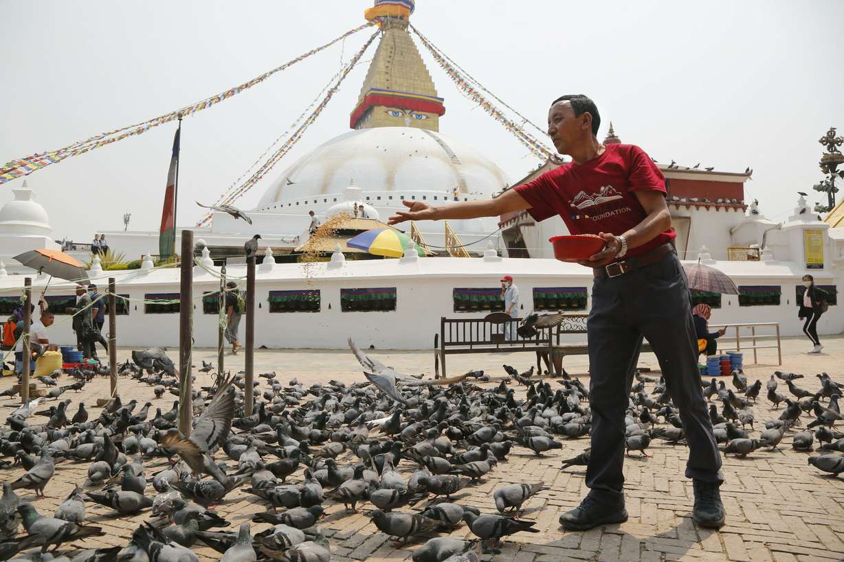 In this May 9, 2019 photo, Apa Sherpa feeds pigeons in Boudhanath Stupa in Kathmandu, Nepal. Apa Sherpa has stood on top of the world more times than all but one other person. Now he wants to make sure no one feels compelled to follow in his footsteps. Photo: Niranjan Shrestha, AP Photo