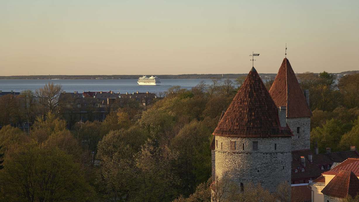 High-tech Estonia votes online for European Parliament
