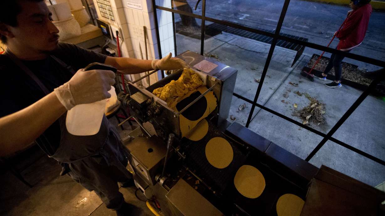 'Tortilla movement' seeks to restore Mexico's iconic food