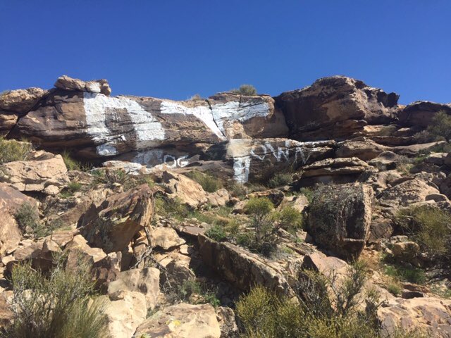The Bureau of Land Management on Monday, May 20, 2019, announced a $1,000 reward for information leading to the conviction of vandals who spray-painted Shinob Kibe, an important archaeological site in Washington, Washington County. (Photo: Bureau of Land Management)