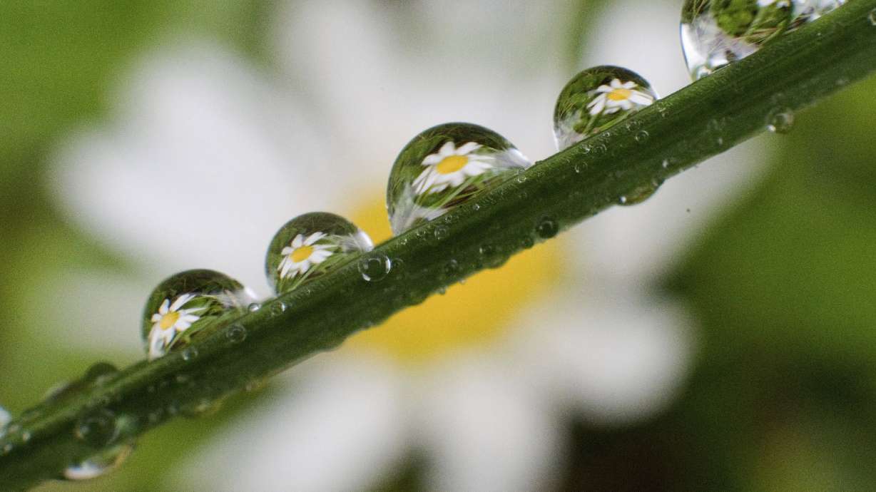 Heavy rainfall in Germany causes flooding, leaves 1 dead