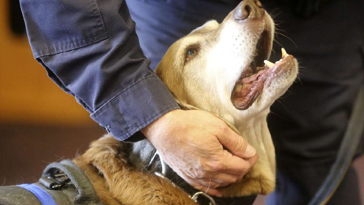 A doggone fine send off for Veteran Affairs K-9 Max