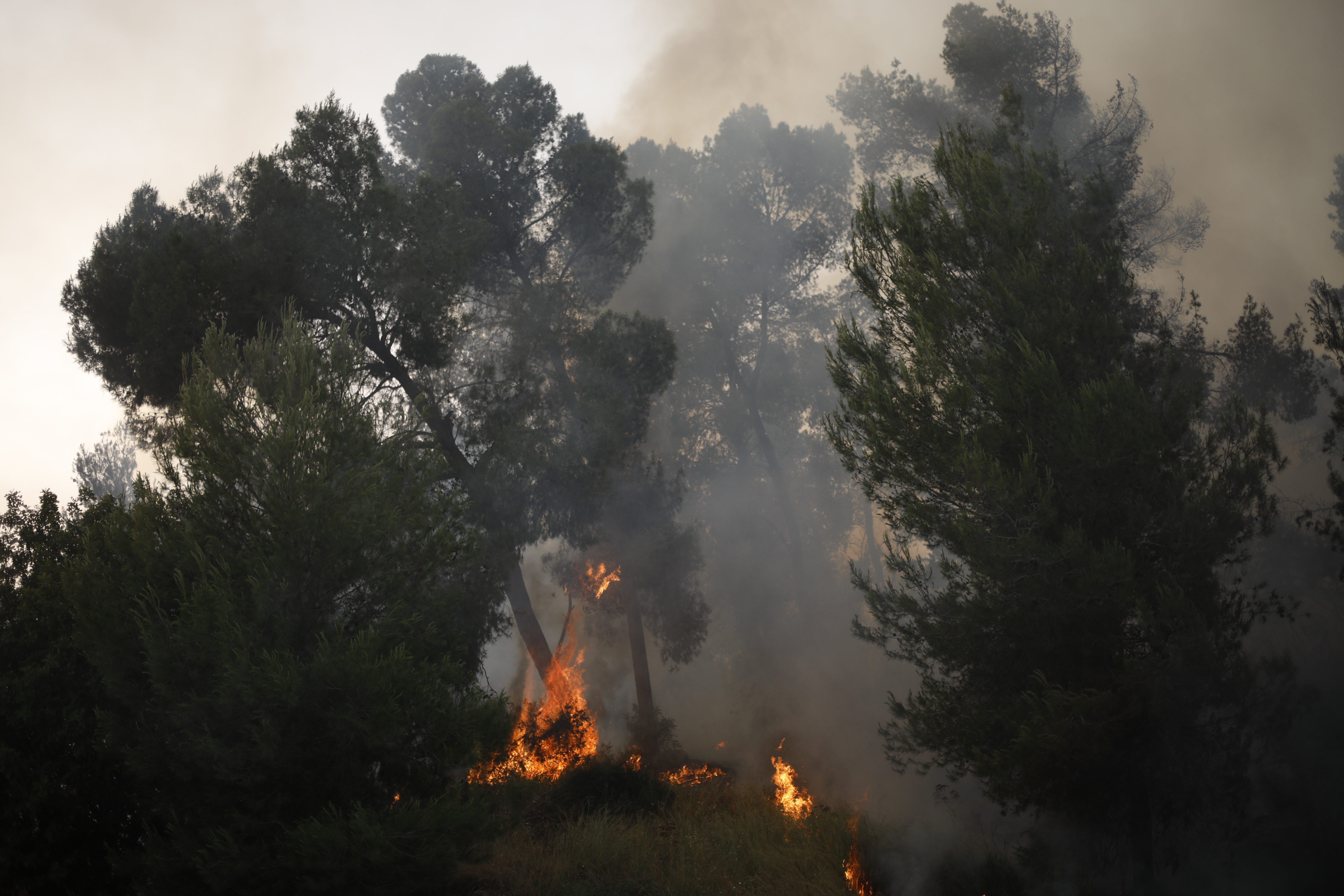 Israel braces for more wildfires as temperatures spike