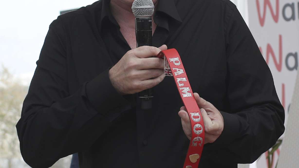 Quentin Tarantino wins top dog award at Cannes Film Festival