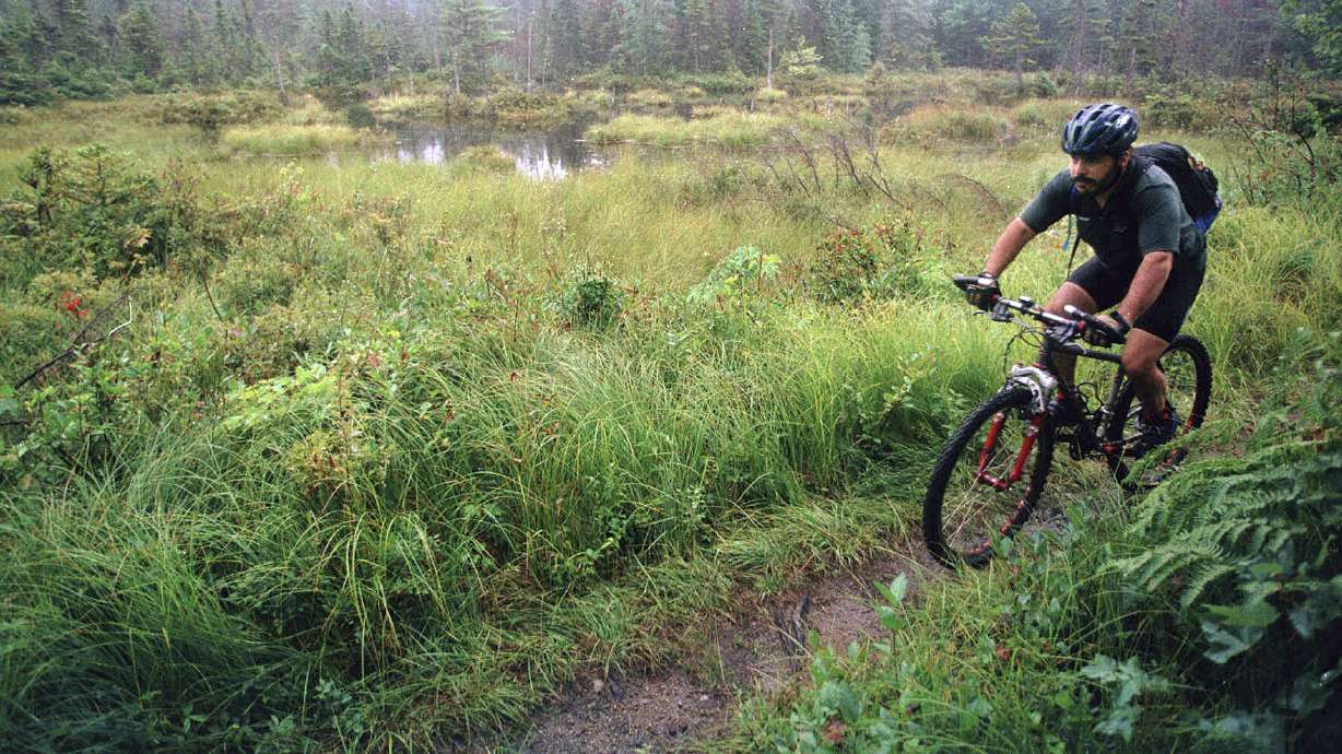 Joining biking trails and bringing money to New England