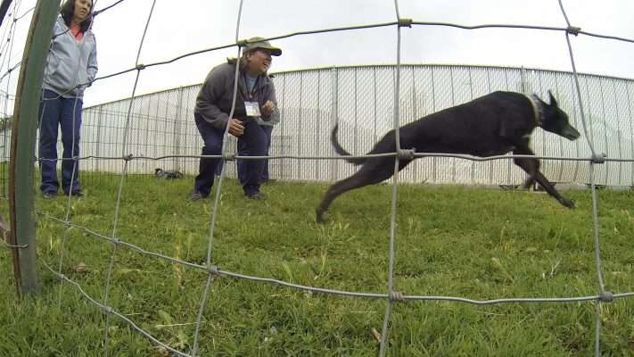 Photo: Adam Sotelo, KSL TV