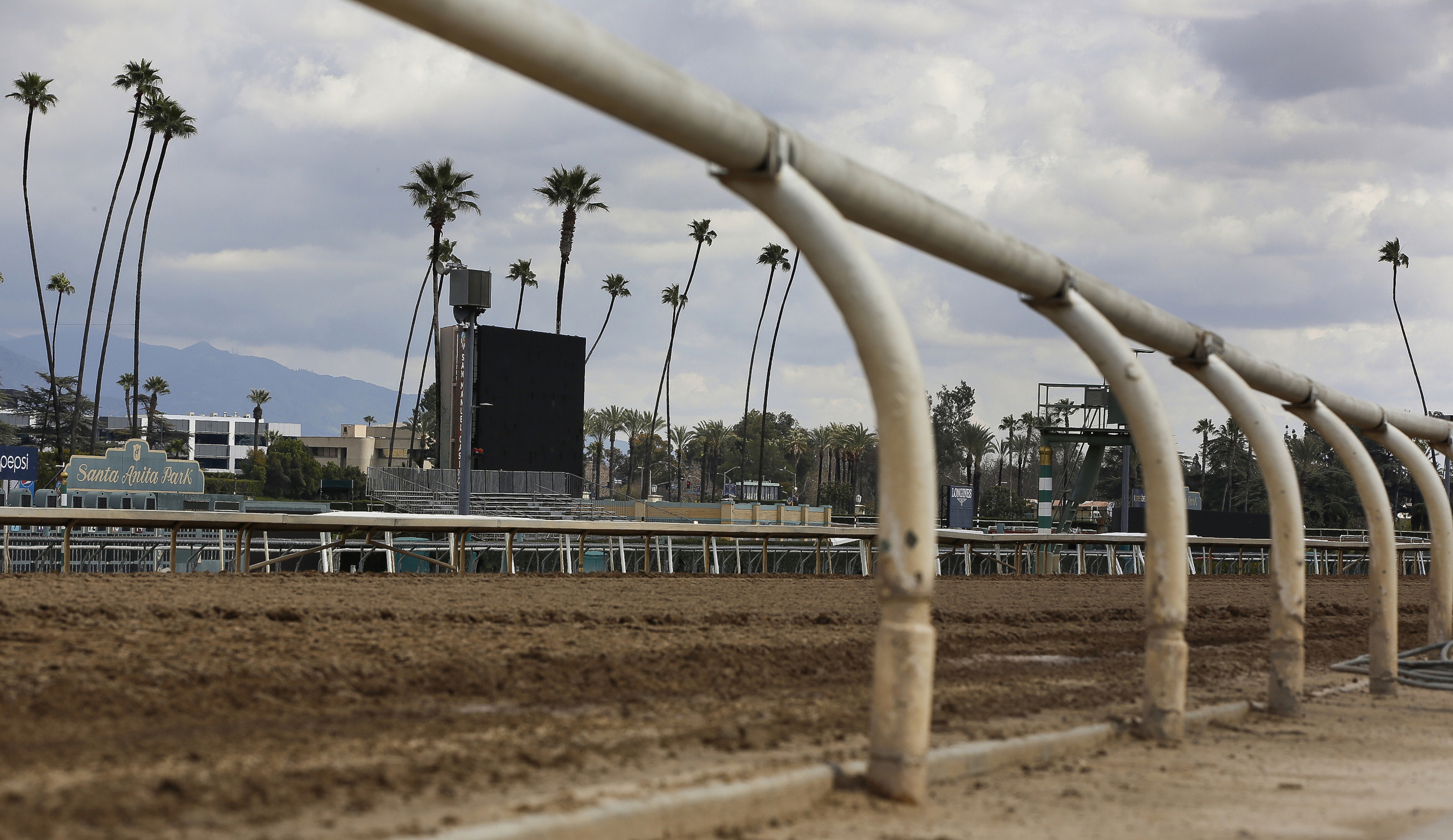In this March 7, 2019, file photo, the home stretch race track is empty at Santa Anita Park in Arcadia, Calif. Santa Anita had its third horse death in nine days when a gelding pulled up during a race and was later euthanized. Twenty-six horses have now died in racing or training at the Southern California track since Dec. 26. (Photo: Damian Dovarganes, AP)
