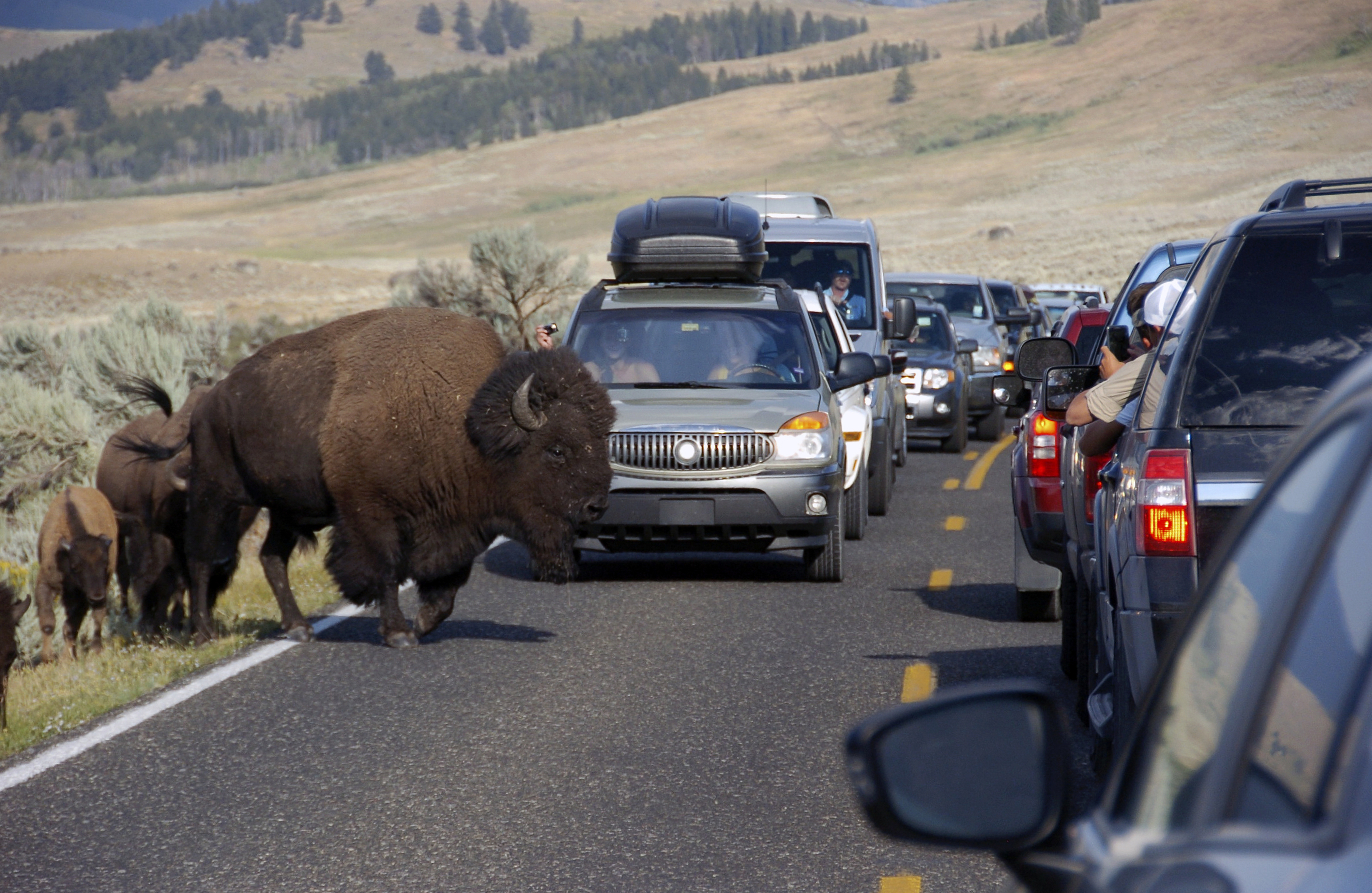 Yellowstone National Park visitors spent $513M in 2018