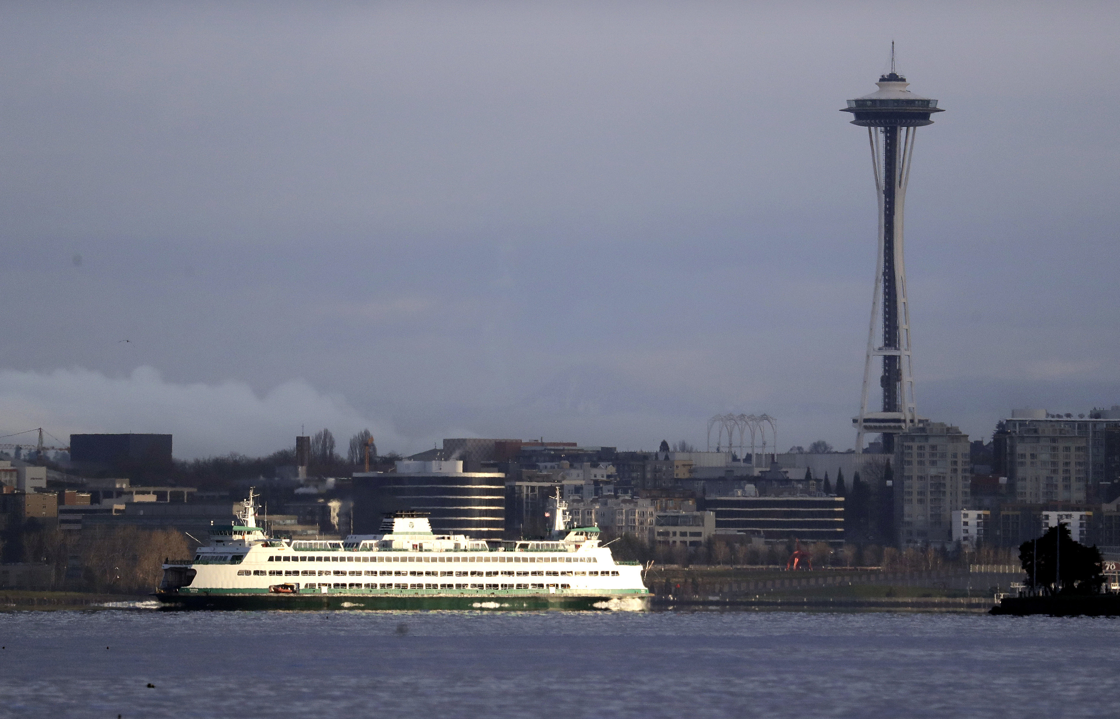 Ferry strikes, injures humpback whale near Seattle
