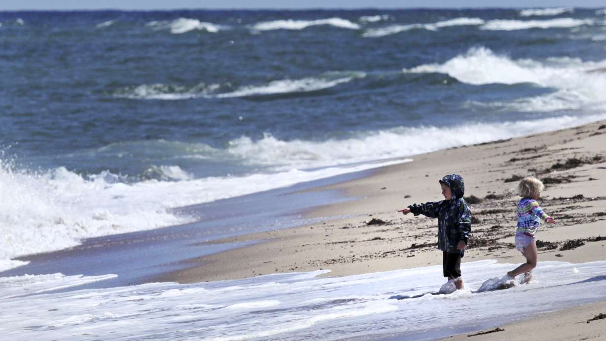 Sound barrier to chase seals, prevent shark attacks debated