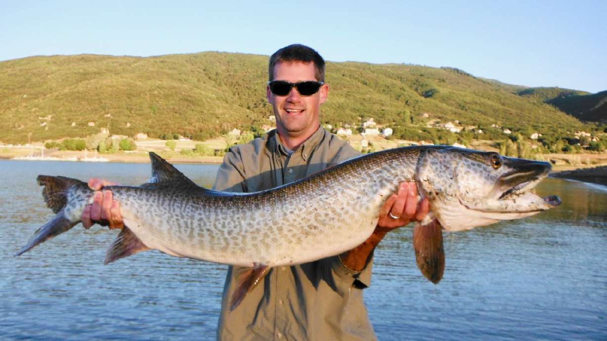 The 5 best spots to catch Utah’s elusive tiger muskie