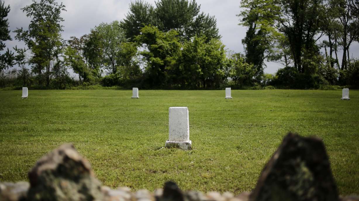 NYC considers plan to turn island of graves into city park