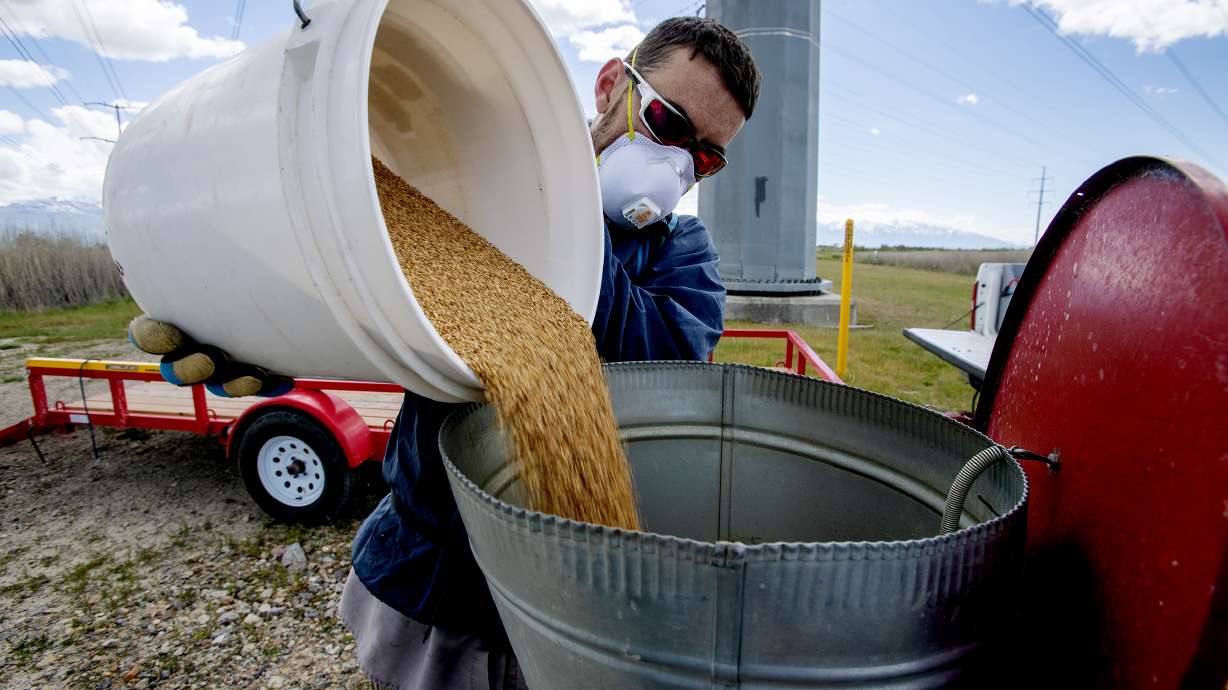 Utah gears up for more mosquitoes than usual this summer