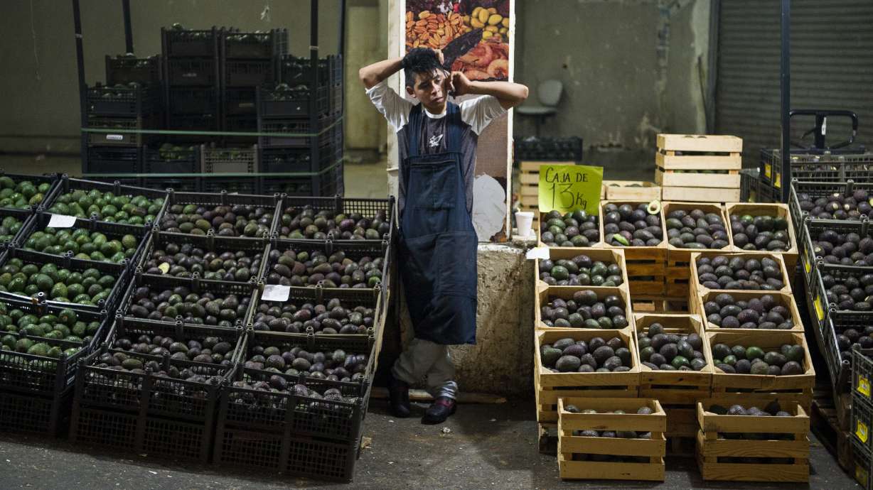 Mexican avocado growers expect US consumers to bear tariffs