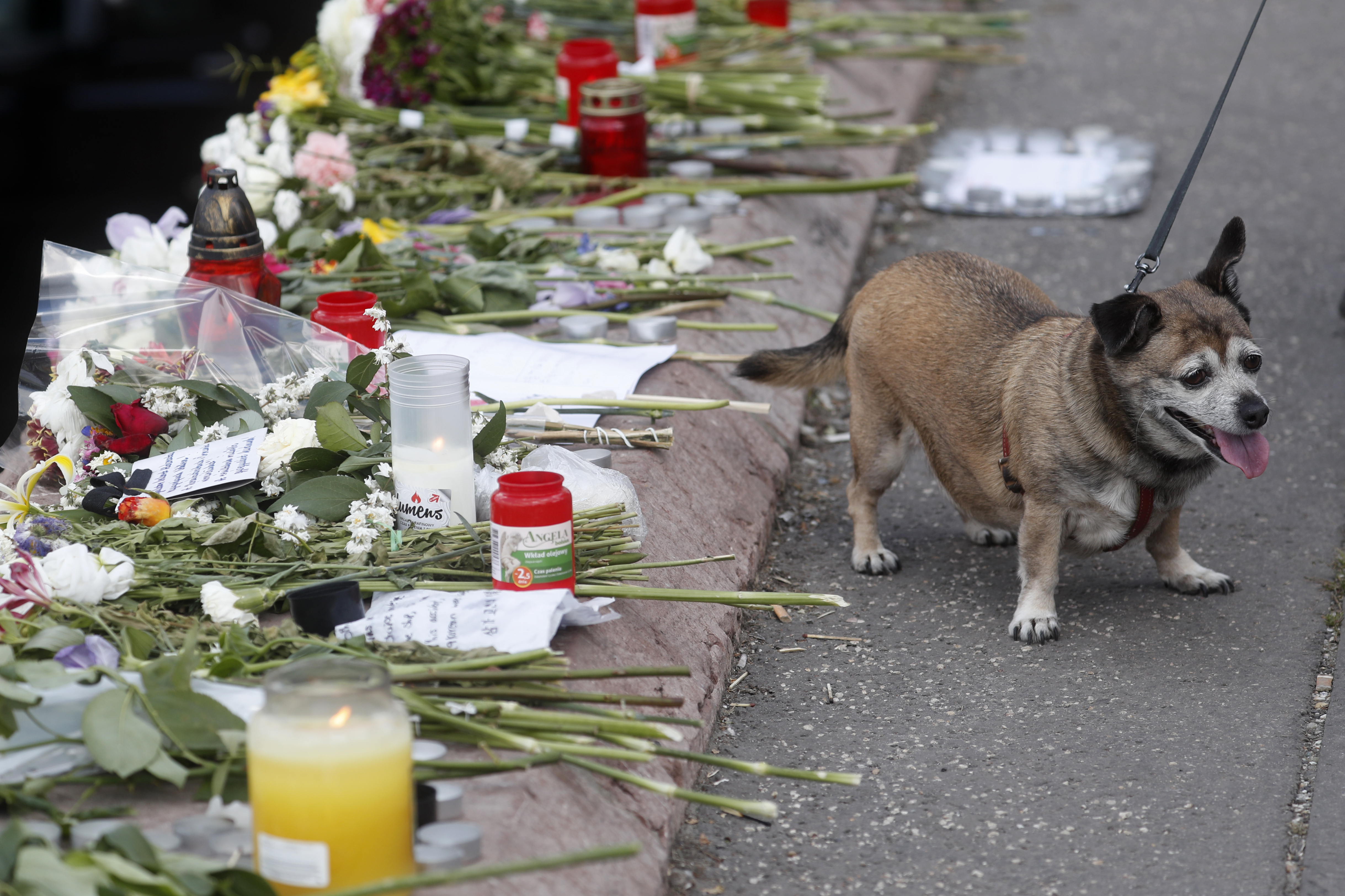 Danube water levels drop but not enough to reach sunken boat